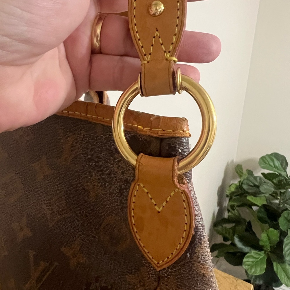 Louis Vuitton Delightful MM - Picture 4 of 9